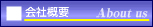 ЊTv